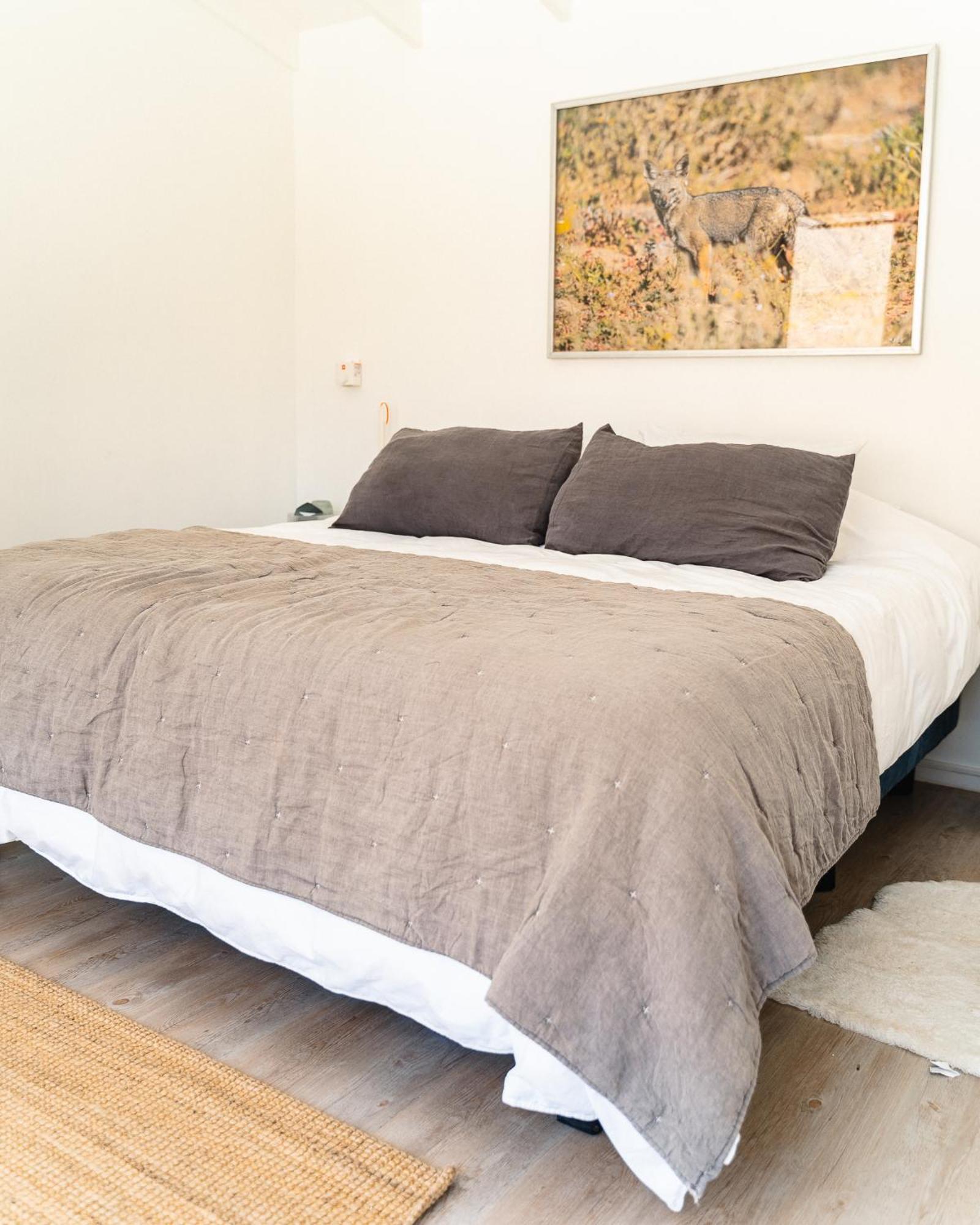 Horcón Glaciar De Roca Lofts מראה חיצוני תמונה